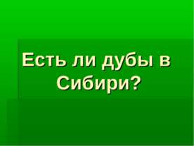 Есть ли дубы в Сибири?