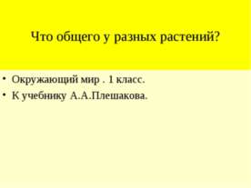 Что общего у разных растений (1 класс)