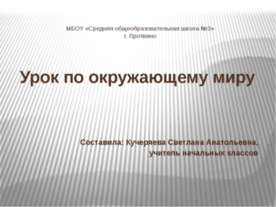 Урок по окружающему миру