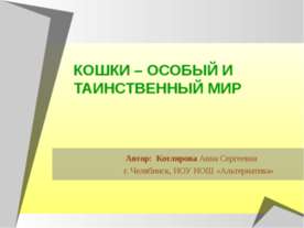 Кошки - особый и таинственный мир