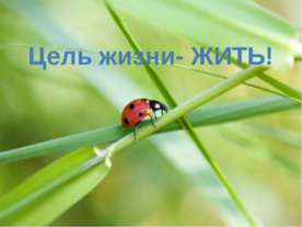 Цель жизни- жить