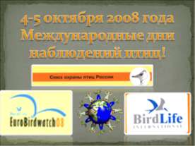 4-5 октября 2008 года Международные дни наблюдений птиц!