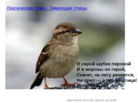 Лексическая тема - Зимующие птицы