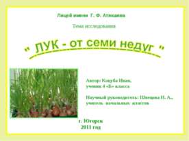 Лук от семи недуг