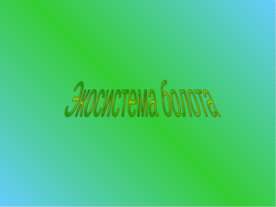 Экосистема болота