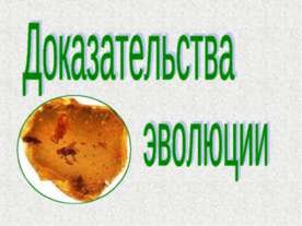 Доказательства эволюции