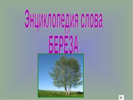 Энциклопедия слова Берёза