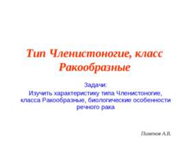 Членистоногие, класс Ракообразные