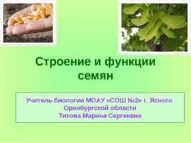 Строение и функции семян