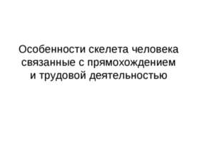 Особенности скелета человека связанные с прямохождением и трудовой деятельностью