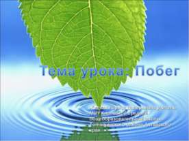 Корень.строение и функции.