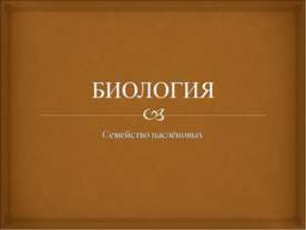 Семейство паслёновых