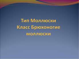 Тип Моллюски Класс Брюхоногие моллюски