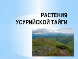 Растения Уссурийской Тайги