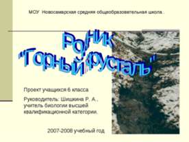 Родник "Горный хрусталь"