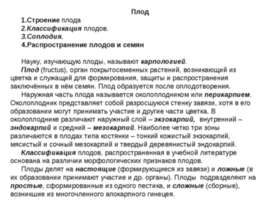 Плод