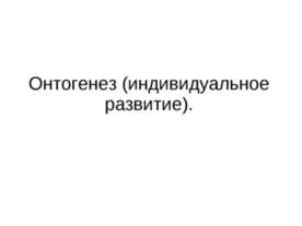 Онтогенез (индивидуальное развитие)