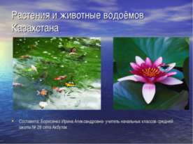 Растения и животные водоёмов Казахстана