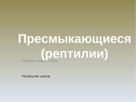 Пресмыкающиеся (рептилии)