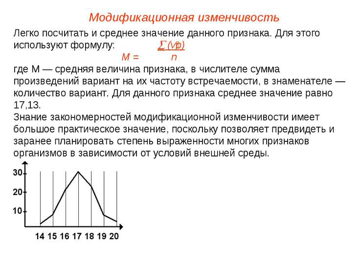 Модификационная изменчивость презентация пименов