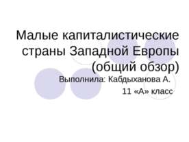 Малые капиталистические страны Западной Европы (общий обзор)