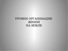 Уровни организации жизни на земле