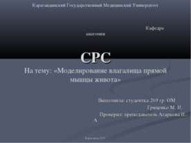 Моделирование влагалища прямой мышцы живота