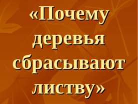 Почему деревья сбрасывают листву