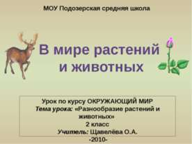 В мире растений и животных