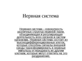 Нервная система