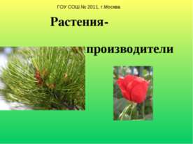 Растения-производители