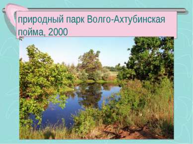 Природные парки волгоградской области презентация