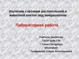 Изучение строения растительной и животной клеток под микроскопом