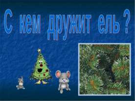С кем дружит ель