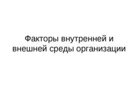Факторы внутренней и внешней среды организации