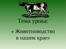 Животноводство в нашем крае