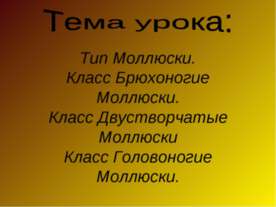 Тип Моллюски. Класс Брюхоногие Моллюски. Класс Двустворчатые Моллюски ласс Го...