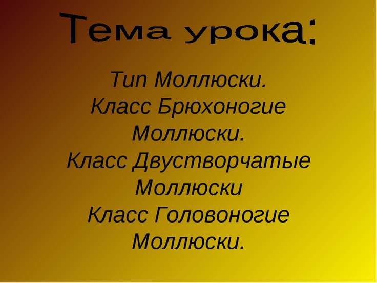 скачать презентацию класс брюхоногие и двустворчатые моллюски