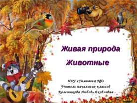 Живая природа Животные