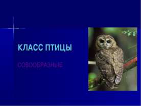 Класс Птицы. СОВООБРАЗНЫЕ