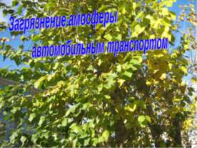 Загрязнение амосферы автомобильным транспортом