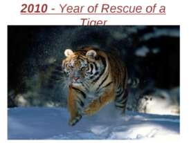2010 - Year of Rescue of a Tiger