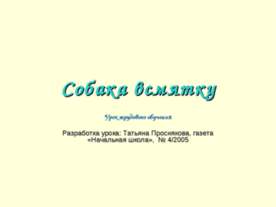 Собака всмятку
