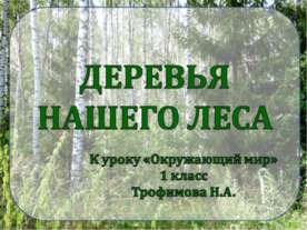 Деревья нашего леса 1 класс