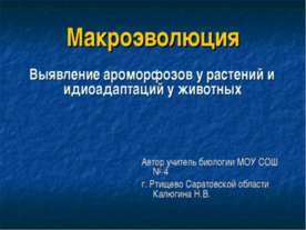 Макроэволюция. Выявление ароморфозов у растений и идиоадаптаций у животных