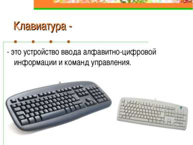 Устройство имеющее экран и клавиатуру но обычно не оснащенное собственным процессором называется