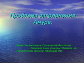 Проблема загрязнения Амура