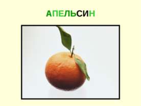 Фрукты