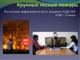 Крупные лесные пожары