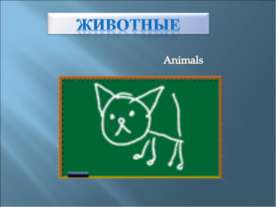 Животные